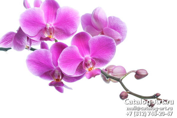 Натяжные потолки с фотопечатью - Розовые орхидеи 11